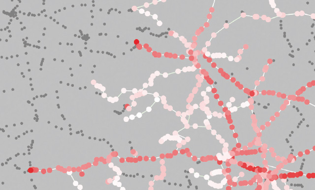 Networkwide Timetable Stability